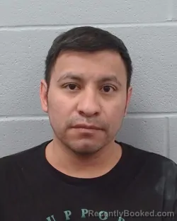 Mugshot of Concepcion Magallanez Gonzalez