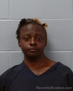 Mugshot of Destiny Brianna McBride