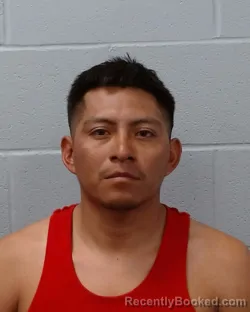 Mugshot of Luis Ernesto Jocontinti