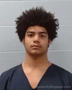 Mugshot of Domanic Michael Davis
