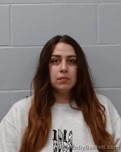 Mugshot of Ashley Brooke Tovar
