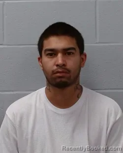 Mugshot of Joseph Escobedo Longoria