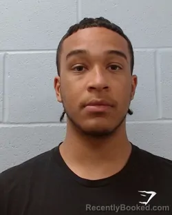 Mugshot of Jordan Faltine