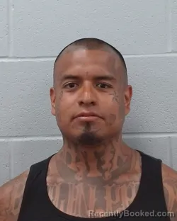 Mugshot of Christopher Vicuna