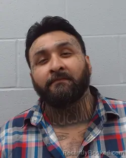 Mugshot of Luis Enrique Flores