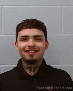 Mugshot of Emmyliano Ochoa Silvas