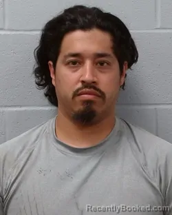 Mugshot of Albert Miles Ayala-Nicolau