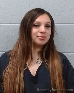 Mugshot of Ana Lizett Flores