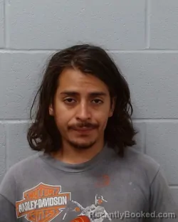 Mugshot of Eric Nicolas Guerrero