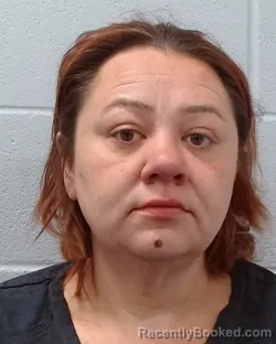 Mugshot of Jessica Robin Elrod booked in Hays County, Texas on April 6, 2026