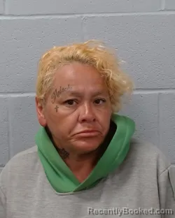 Booking photo from Hays County, Texas