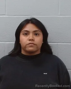 Mugshot of Julissa Carrillo Tonche booked in Hays County, Texas on April 19, 2026
