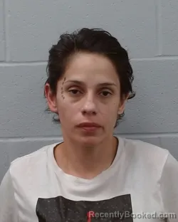 Mugshot of Tiffany Nicole Cantu booked in Hays County, Texas on April 22, 2026