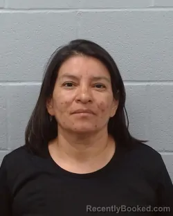 Mugshot of Sylvia Yolanda Sandoval Hernandez booked in Hays County, Texas on April 23, 2026