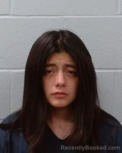 Mugshot of Alyssa Victoria Martinez booked in Hays County, Texas on April 23, 2026