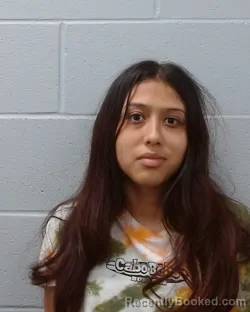 Mugshot of Robyn Mia Garcia booked in Hays County, Texas on April 29, 2026