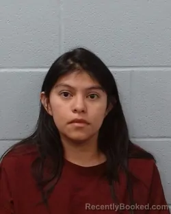Mugshot of Elisa Nicole Perez booked in Hays County, Texas on May 1, 2026