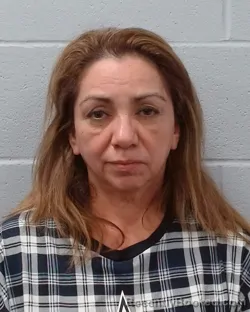 Mugshot of Criselda Chapa booked in Hays County, Texas on May 1, 2026