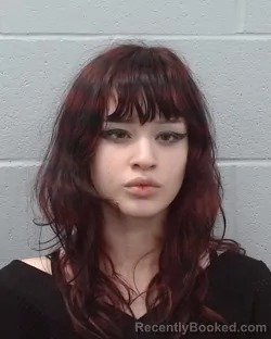 Mugshot of Illianna Alexis Riojas booked in Hays County, Texas on May 2, 2026