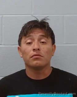 Mugshot of Jhony Josue Cervino Alvarado booked in Hays County, Texas on May 3, 2026