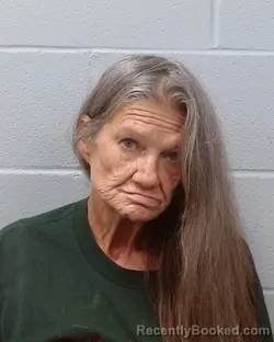 Mugshot of Tammy Sue Duke booked in Hays County, Texas on May 6, 2026