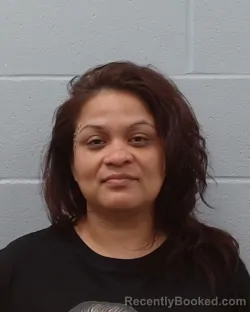 Mugshot of Delfina Trevino booked in Hays County, Texas on May 11, 2026