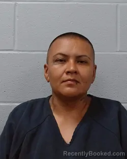 Mugshot of Amanda A. Reyes booked in Hays County, Texas on May 12, 2026
