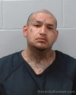 Mugshot of Steven Rene Flores