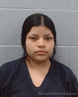 Mugshot of Lesley Janeth Gomez Garcia booked in Hays County, Texas on June 14, 2026