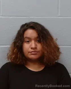 Mugshot of Elizabeth Nicole Alba booked in Hays County, Texas on June 16, 2026