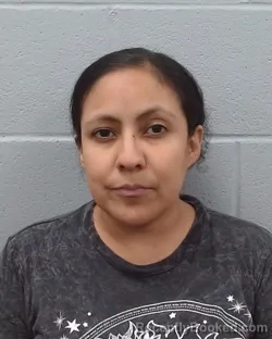 Mugshot of Ida R Sandoval booked in Hays County, Texas on June 18, 2026