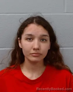 Mugshot of Brenae Nicole Torres booked in Hays County, Texas on June 21, 2026