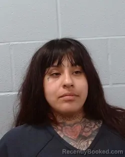 Mugshot of Jessica Nicole Rivas booked in Hays County, Texas on June 22, 2026