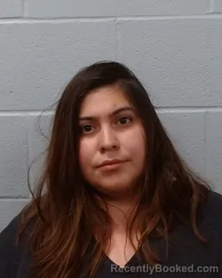 Mugshot of Yvania Sofia Villatoro booked in Hays County, Texas on June 22, 2026