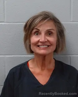 Mugshot of Diane Sluhan booked in Hays County, Texas on June 24, 2026