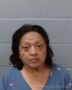 Mugshot of Maria Luisa Ybarra Trevino booked in Hays County, Texas on June 24, 2026