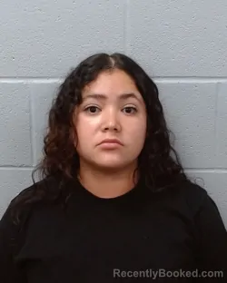 Mugshot of Marcella Marlynn Flores booked in Hays County, Texas on June 24, 2026