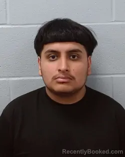 Mugshot of Alexis Fernando Sanchez Galvan booked in Hays County, Texas on June 24, 2026