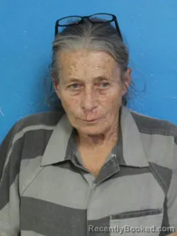 Mugshot of DONNA JUANITA RICHARDSON