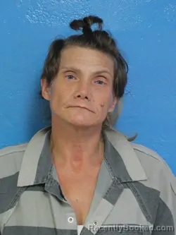 Mugshot of STEPHANIE CAROL MCCLANAHAN booked in Sullivan County, Tennessee on May 9, 2026