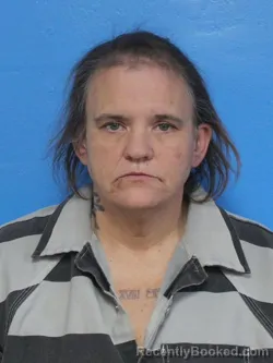 Mugshot of LISA RENEE GILLIAM