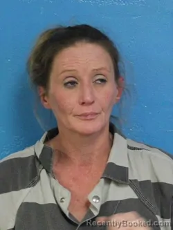 Mugshot of JESSICA NICOLE CALLAHAN booked in Sullivan County, Tennessee on June 30, 2026