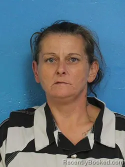Mugshot of TABATHA MICHELLE WHITE booked in Sullivan County, Tennessee on June 28, 2026