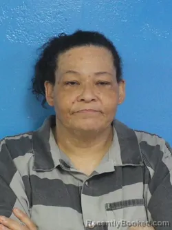 Mugshot of KIMBERLY DENISE OLIVER booked in Sullivan County, Tennessee on April 17, 2026