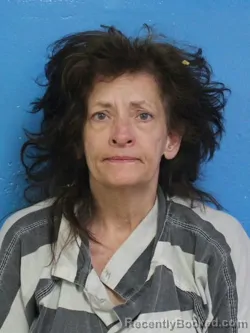 Mugshot of MELISSA DAWN STEVENS booked in Sullivan County, Tennessee on May 6, 2026