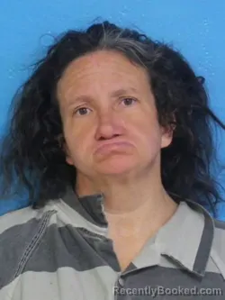 Mugshot of MELISSA ANN OWENS