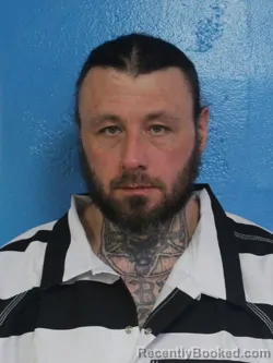 Mugshot of TRAVIS LEE BREEDING