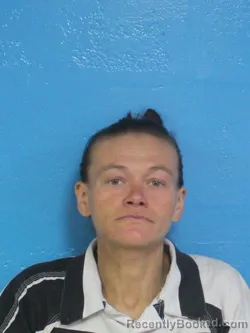 Mugshot of AMANDA RACHELLE PARKER booked in Sullivan County, Tennessee on April 29, 2026