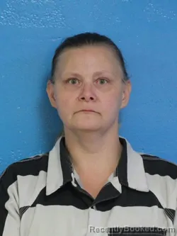 Mugshot of SARAH ELIZABETH WHISNANT booked in Sullivan County, Tennessee on June 26, 2026