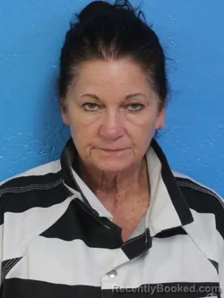 Mugshot of TAMMY RENEE PIERSON booked in Sullivan County, Tennessee on July 11, 2026